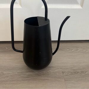 Sleek Metal Black Watering Can